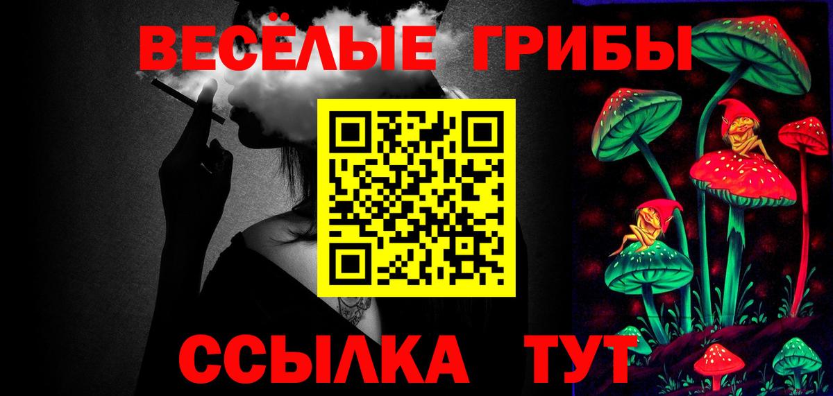 Псилоцибиновые грибы Psilocybine cubensis Карабулак