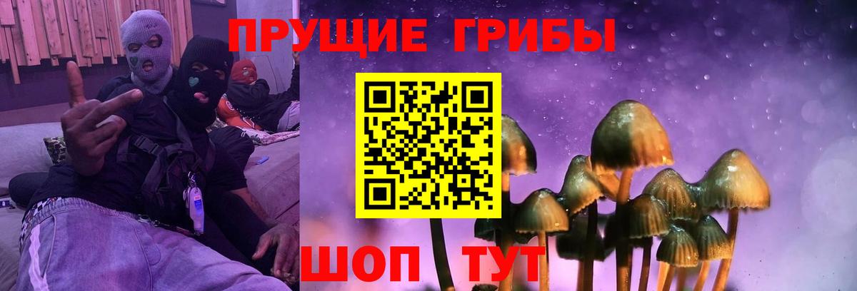 Псилоцибиновые грибы ЛСД  Вход с VPN  Карабулак 